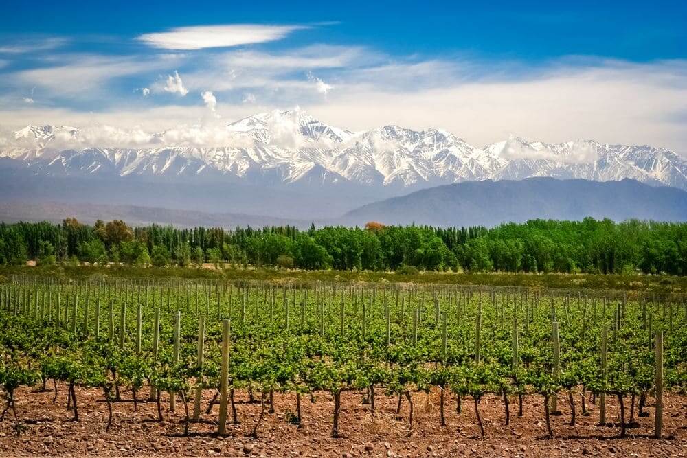 Mendoza & The Winelands